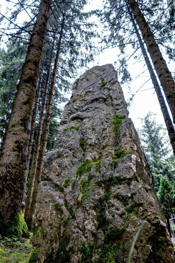 Pensiunea Sura Dacilor - Alex Poiana Brasov Exterior photo