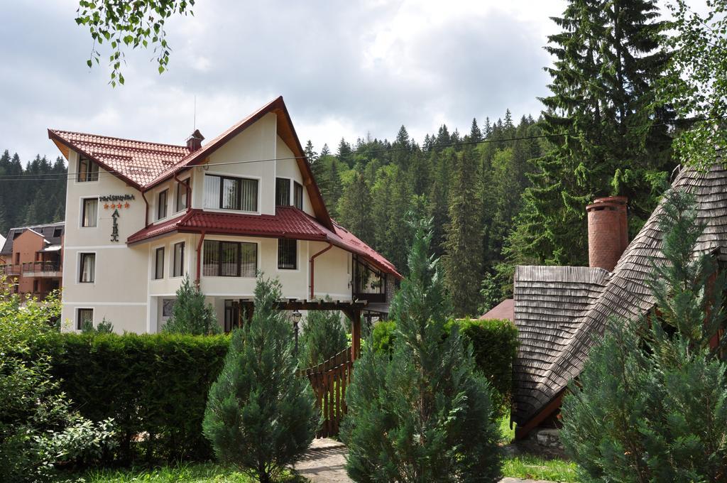 Pensiunea Sura Dacilor - Alex Poiana Brasov Exterior photo